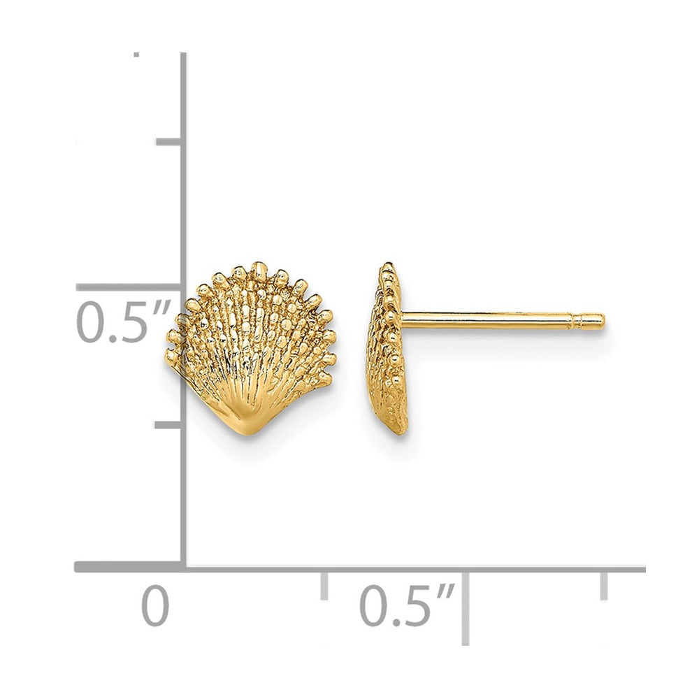 14K Scallop Shell Post Earrings