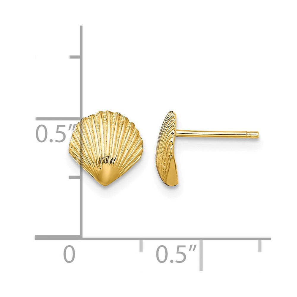 14K Scallop Shell Post Earrings