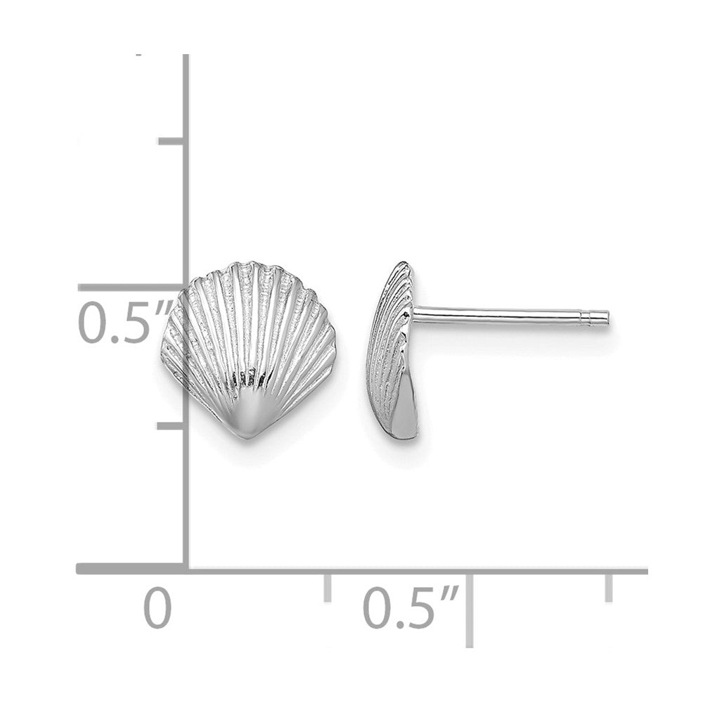 14K White Gold Scallop Shell Post Earrings