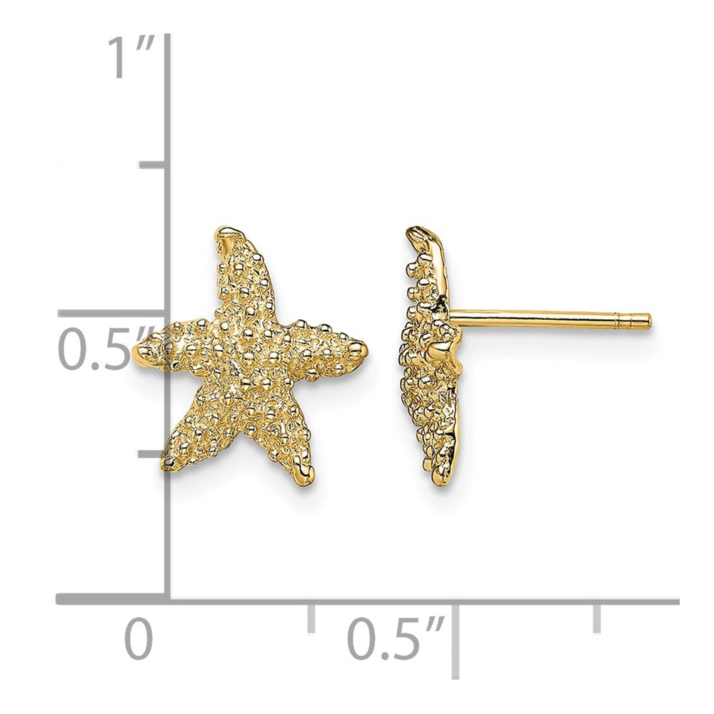 14K Textured Starfish Post Earrings