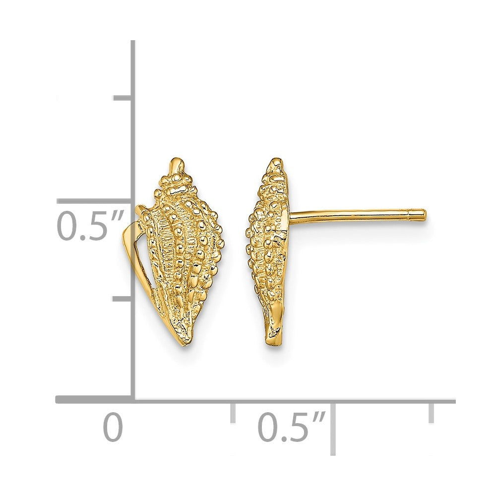 14K Mini Conch Shell Post Earrings