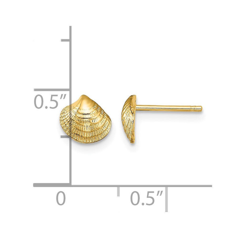 14K Mini Clam Shell Post Earrings