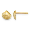 14K Mini Clam Shell Post Earrings