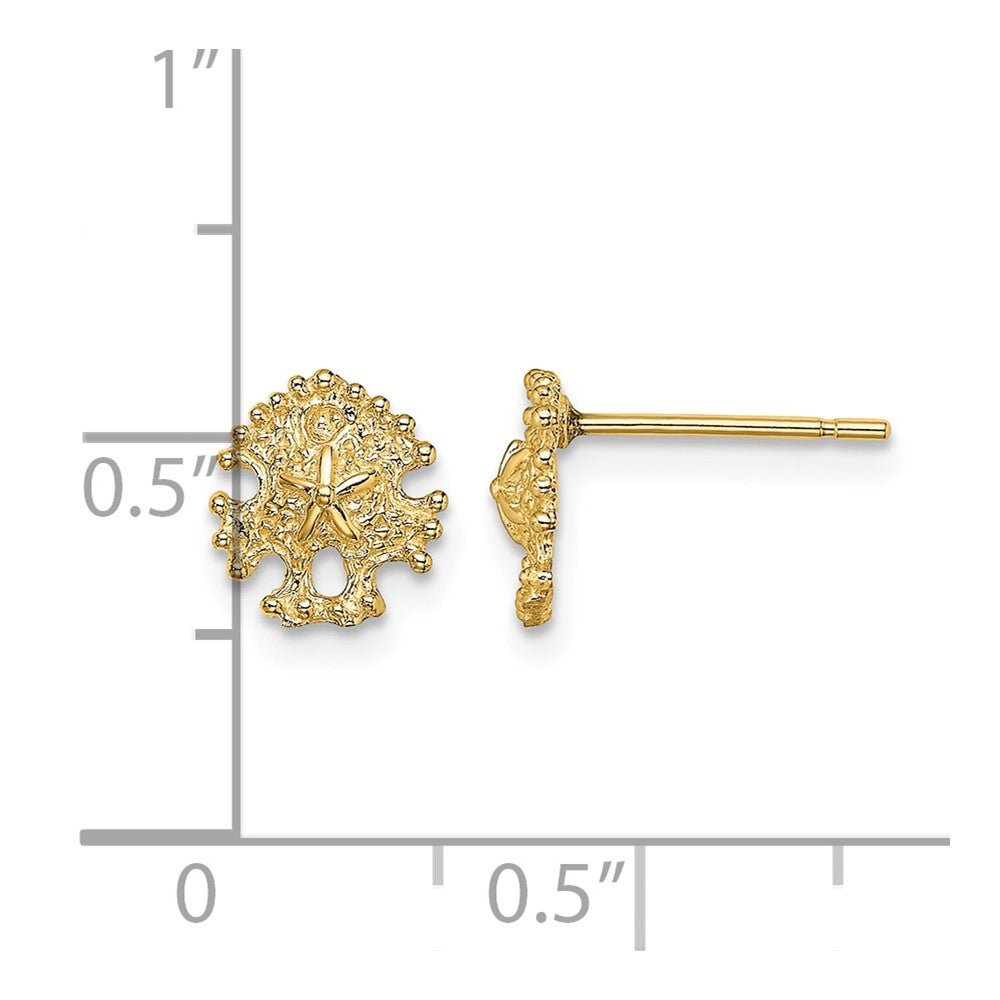 14K Mini Sand Dollar Post Earrings
