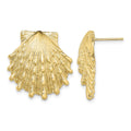 14K Lion's Paw Shell Post Earrings