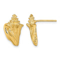 14K 2-D Conch Shell Post Earrings