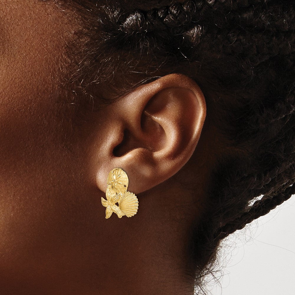14K Sand Dollar, Starfish, ,Scallop Cluster Post Earrings