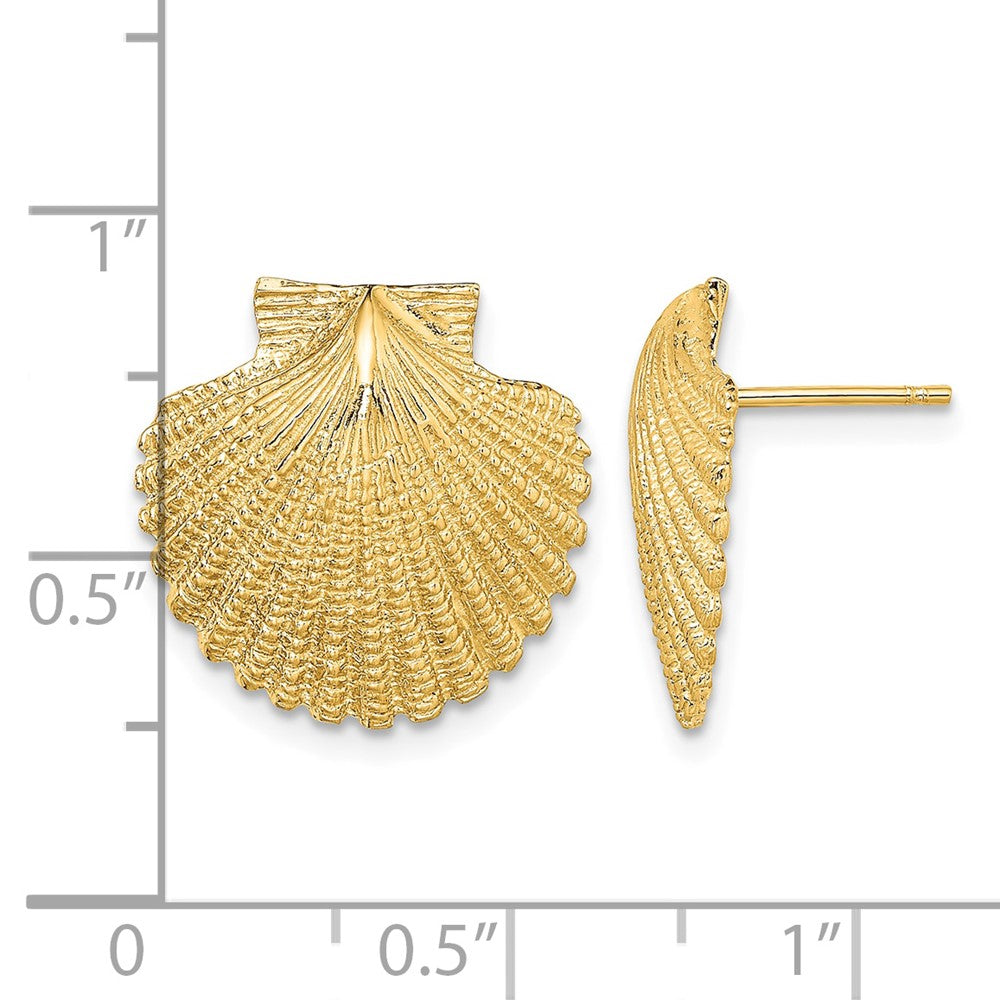 14K 2-D Textured Scallop Shell Post Earrings