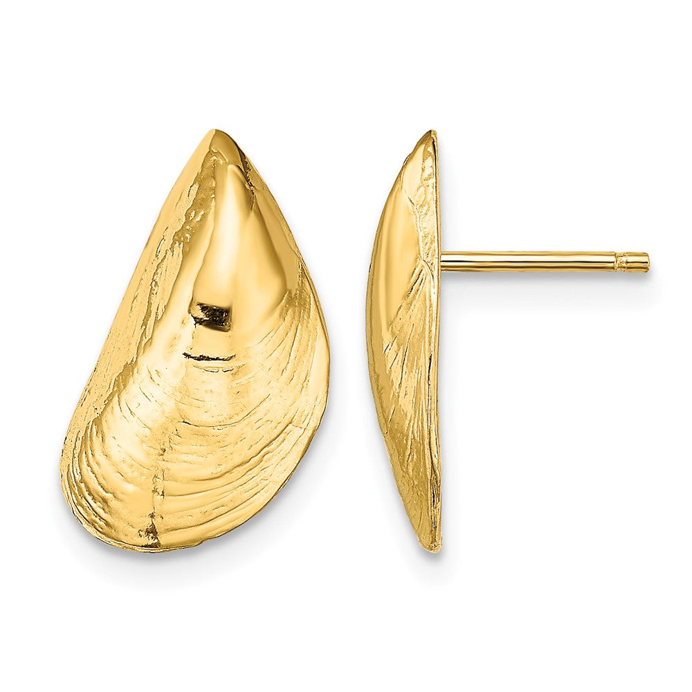 14K Mussel Shell Post Earrings