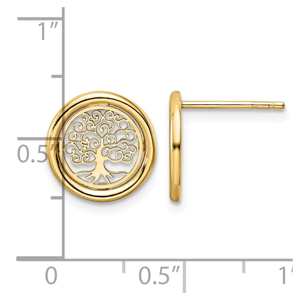 14k Polished Tree of Life in Circle Post Earrings
