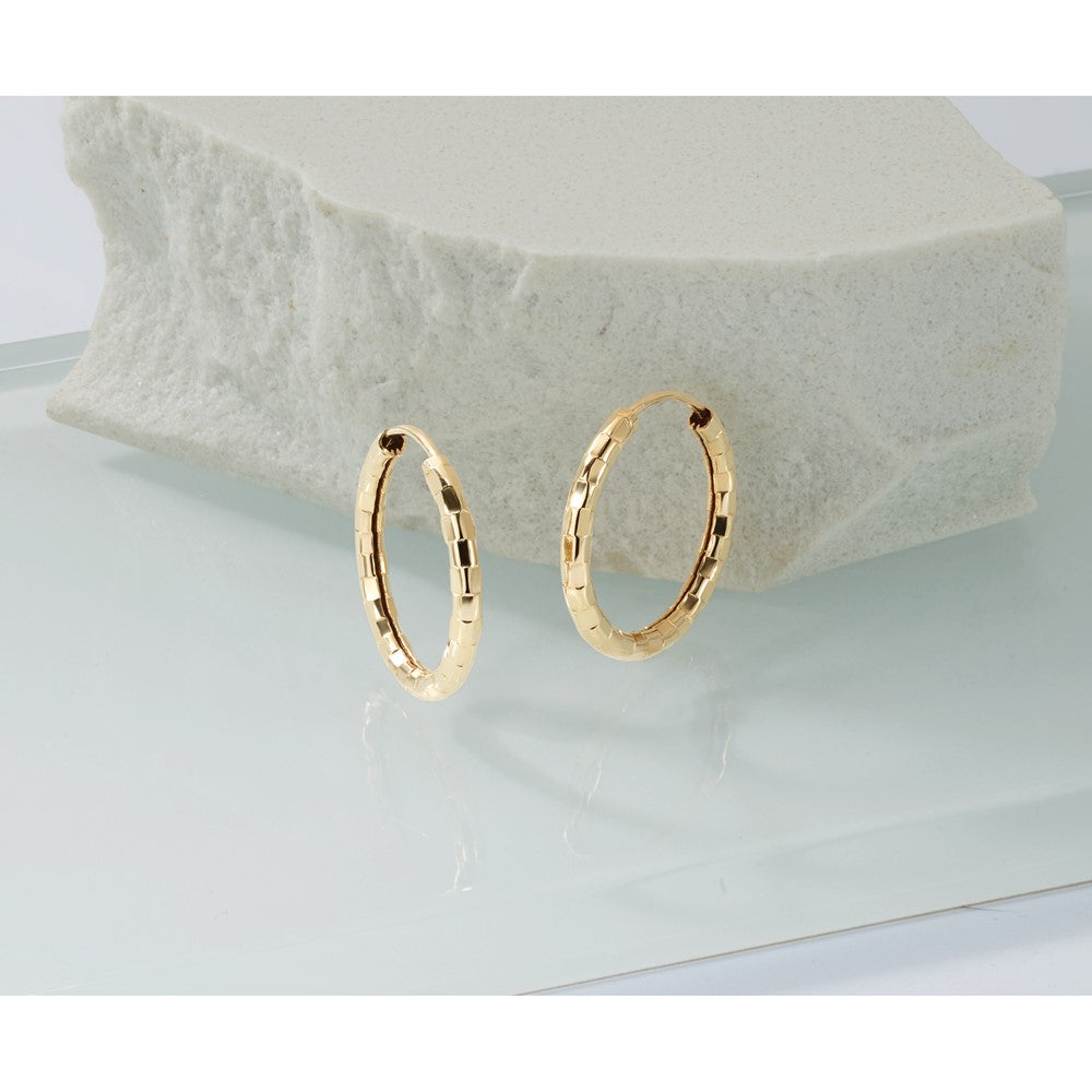14k Gold Polished Faceted 2.5mm Hoop Earrings
