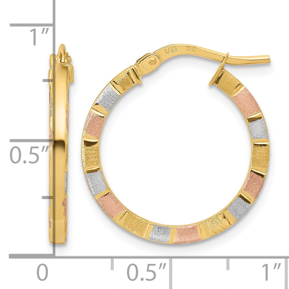 14k w/White & Rose Rhodium Polished & Satin Hoop Earrings