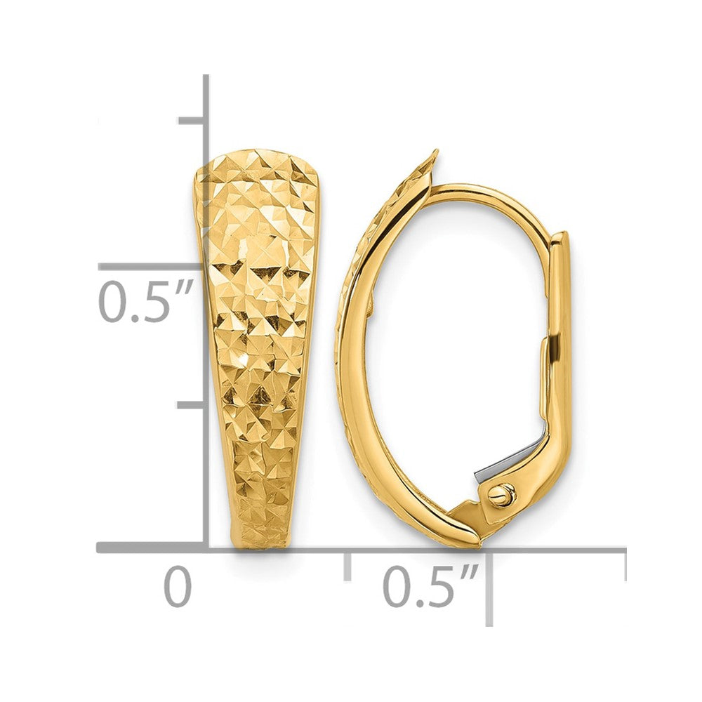 14K Polished and Diamond-cut Leverback Earrings
