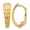 14K Polished and Diamond-cut Leverback Earrings
