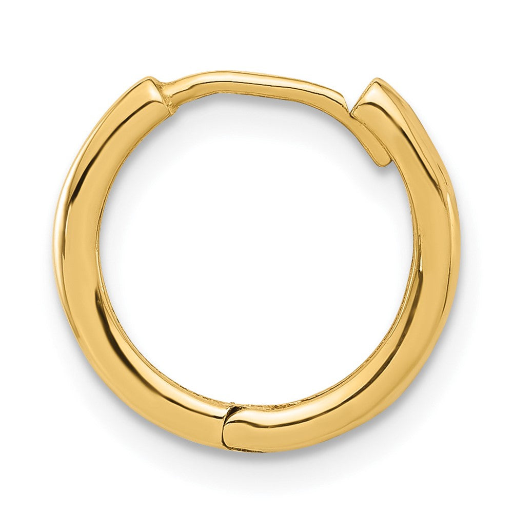 Single 14K Polished Hinged Hoop Earring
