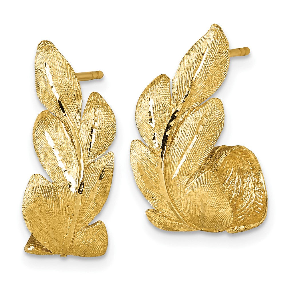 14k Brushed And Textured Leaf Post Earrings