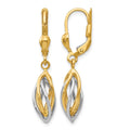14K Two-Tone Polished Dangle Leverback Earrings