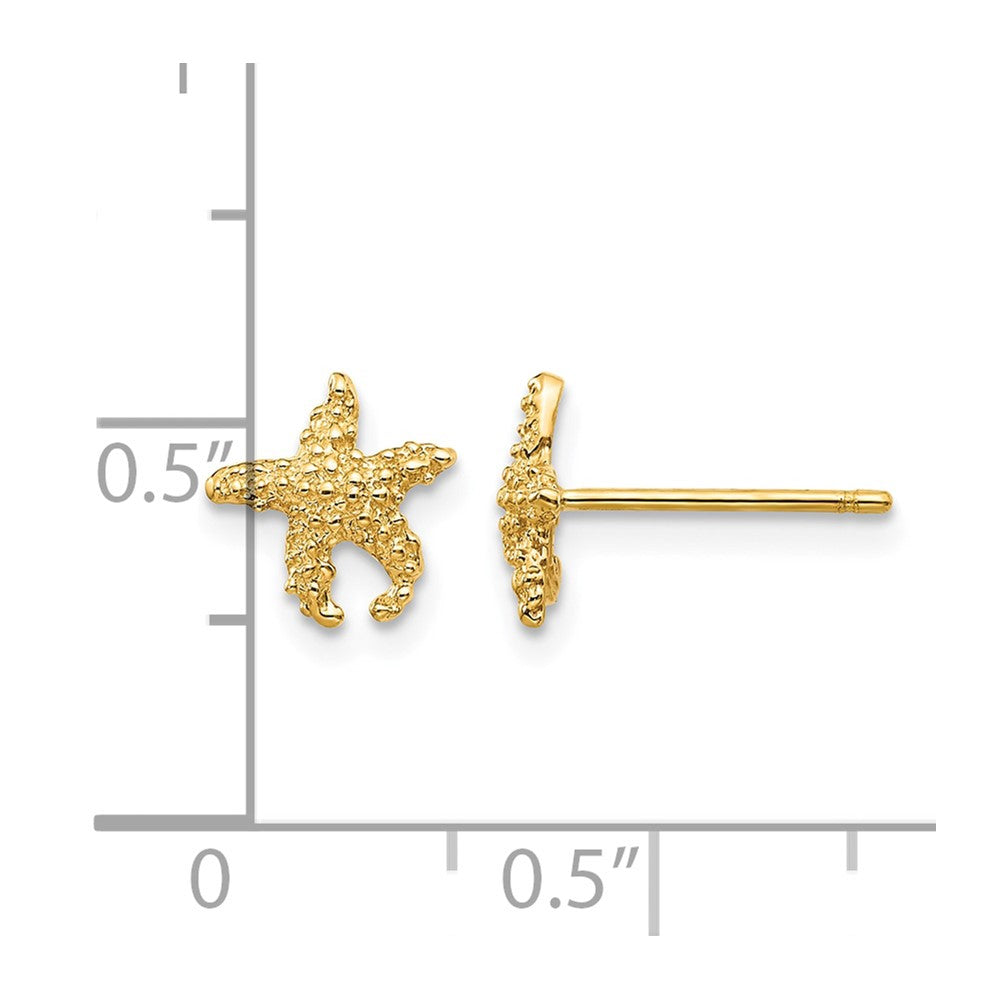 14K Polished and Textured Starfish Post Earrings