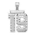 14kw Large Brushed Diamond-cut Number 19 Charm