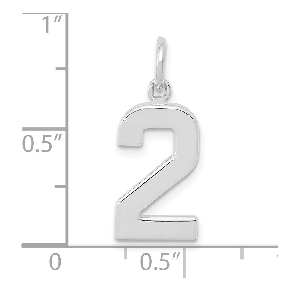 14kw Medium Polished Number 2 Charm