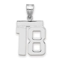 14kw Medium Polished Number 18 Charm