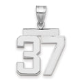 14kw Medium Polished Number 37 Charm