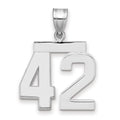 14kw Medium Polished Number 42 Charm