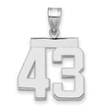 14kw Medium Polished Number 43 Charm