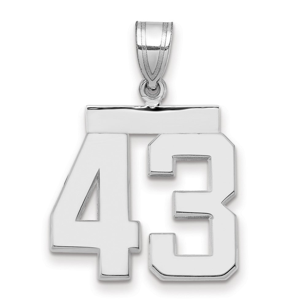 14kw Medium Polished Number 43 Charm