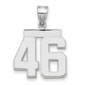 14kw Medium Polished Number 46 Charm