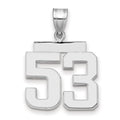 14kw Medium Polished Number 53 Charm