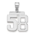 14kw Medium Polished Number 58 Charm