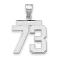 14kw Medium Polished Number 73 Charm