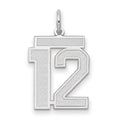 14kw Medium Satin Number 12 Charm