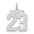 14kw Medium Satin Number 23 Charm