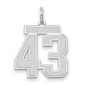14kw Medium Satin Number 43 Charm