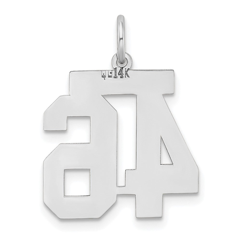 14kw Medium Satin Number 46 Charm