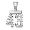 14kw Small Brushed Diamond-cut Number 43 Charm