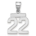 14kw Small Polished Number 22 Charm