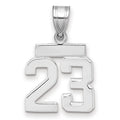 14kw Small Polished Number 23 Charm