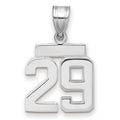 14kw Small Polished Number 29 Charm