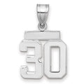 14kw Small Polished Number 30 Charm