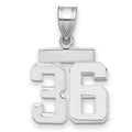 14kw Small Polished Number 36 Charm
