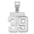 14kw Small Polished Number 39 Charm