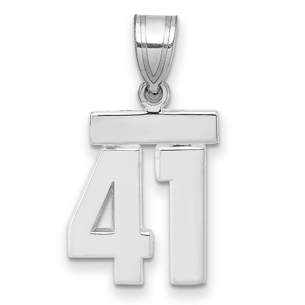 14kw Small Polished Number 41 Charm