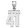 14kw Small Polished Number 41 Charm
