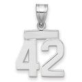 14kw Small Polished Number 42 Charm