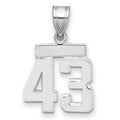 14kw Small Polished Number 43 Charm