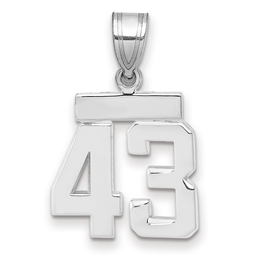 14kw Small Polished Number 43 Charm