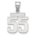 14kw Small Polished Number 55 Charm